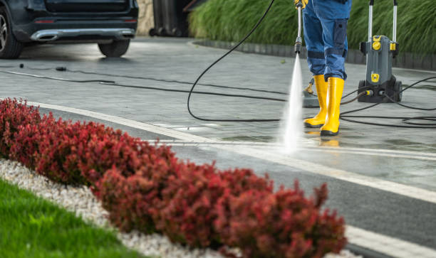 Best Fence Cleaning and Maintenance in Salmon Brook, CT